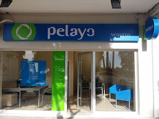 Oficina Seguros Pelayo