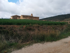 Salinas de la Olmeda