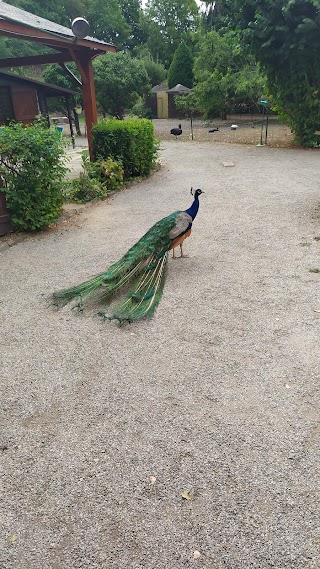 Parc Ornithologique de Bretagne