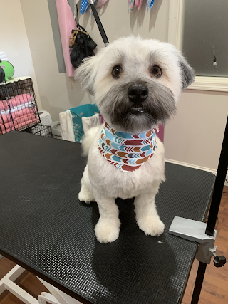 Wicked Wags Grooming Salon & Pet Boutique