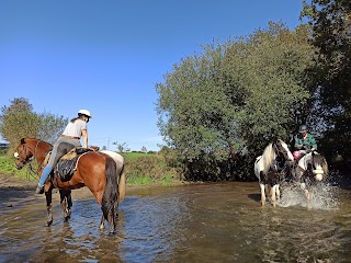 Equusfera, rutas a caballo guiadas.