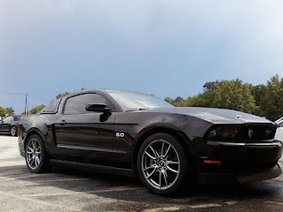 East Coast Mustangs