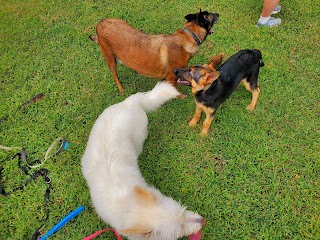 Dover AFB Veterinary Treatment Facility