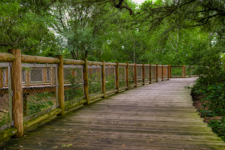 Bridgeland Treehouse Park