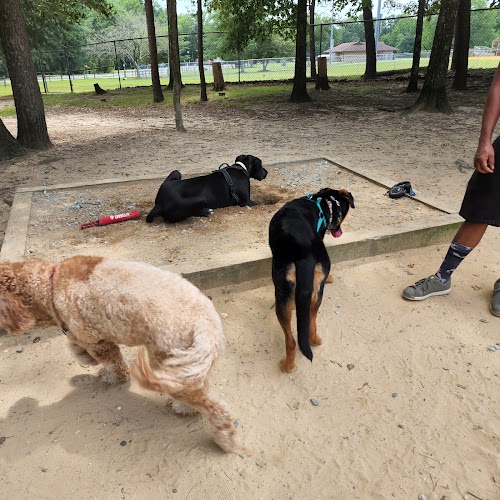 Dog Park White Plains