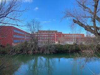 Instituto de Educación Secundaria Alonso Berruguete