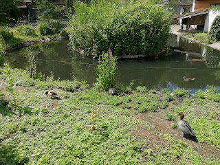 Vogelpark Untergrombach