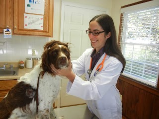 Advanced Veterinary Care