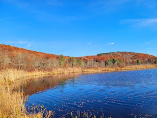 John A Minetto State Park