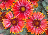 Moen Therapeutic Massage LLC massage spa Rochester