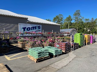 Tom's Discount Store - EVERYTHING YOU NEED