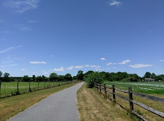 Blackwater Pond Park