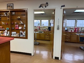 South Valley Animal Clinic