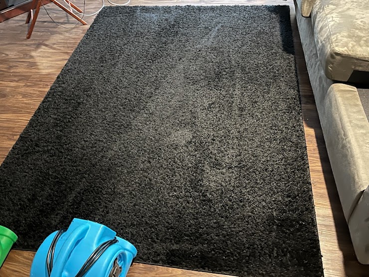 Diamond Carpet Cleaning, Medina, OH