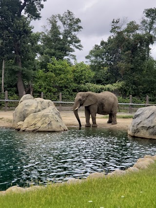 Roger Williams Park Zoo