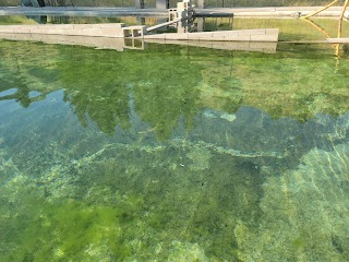 Haven Hot Springs Pool