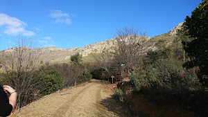 Cueva De Los Cabritos