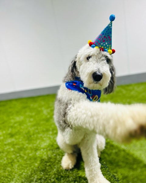 Photo of Puppy Haven - Buckhead - 2900 Peachtree Road Northwest, Atlanta, GA 30305, USA