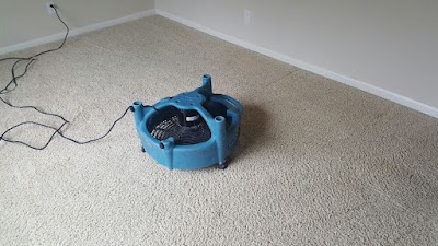 photo of Anouman's Carpet & Upholstery Cleaning