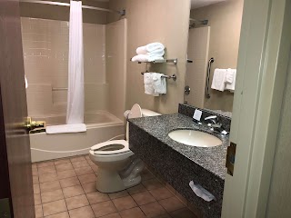 Quality Inn & Suites Skyways