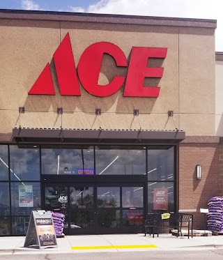 Ace Hardware Sandy