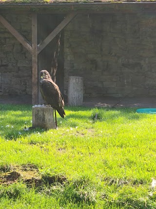 Adler- und Falkenhof Schütz Niederburg