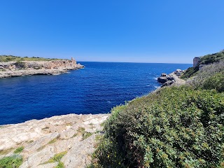 Rent a Boat Cala Figuera