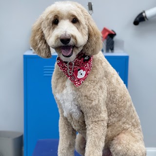 Peachy Pooches Dog Spa & Grooming