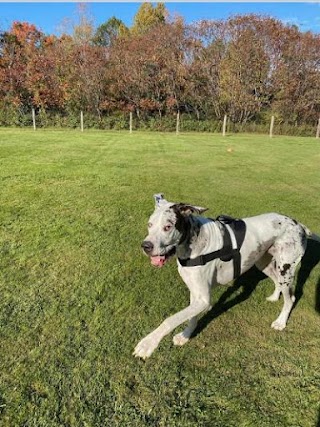 Great Fields Kennel