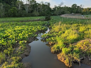 Neabsco Creek Boardwalk