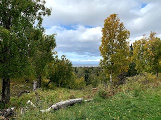 Kincaid Park Disc Golf Course