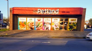 Petland of Rome