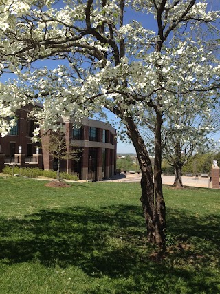 Clayton Center for the Arts