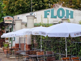 Restaurant Floh