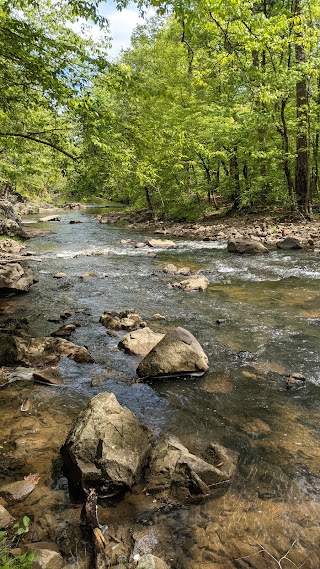 Duke Forest