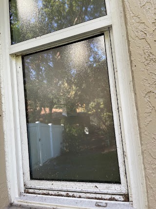 Smear Clear Window Cleaning