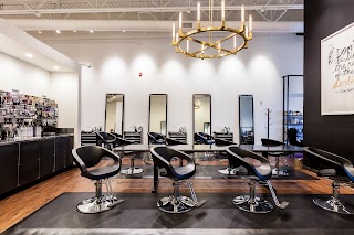 Treo Salon