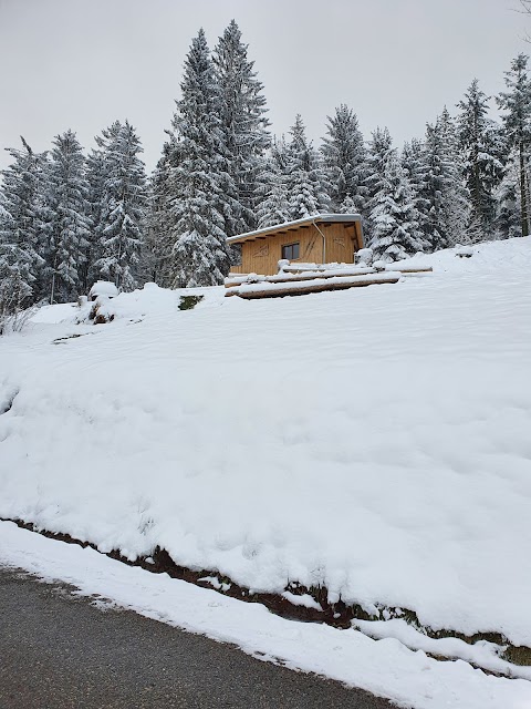 Sport-Kern Seebach Wintersportgeschäft