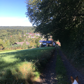 Ferienhaus Zaunkönig, Urlaub mit Hunden (Garten 1,50 m voll umzäunt)