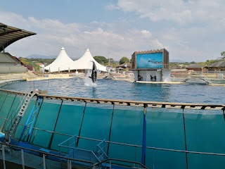 Marineland Lagoon