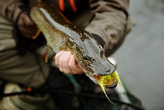 Berkshire Rivers Fly Fishing