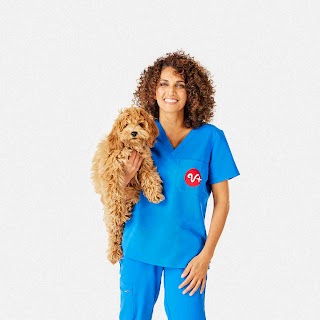 PetSmart Veterinary Services - Tucson (Oracle and Wetmore)