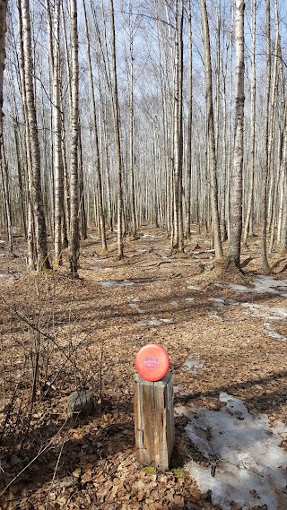 Peters Creek Disc Golf Course