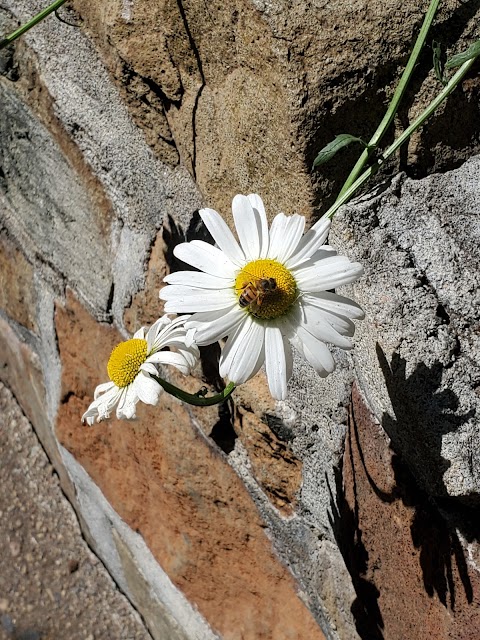 Photo of Zoro Garden - El Prado, San Diego, CA 92101, USA