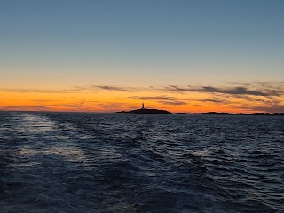 Marine Atlantes Excursiones en Barco