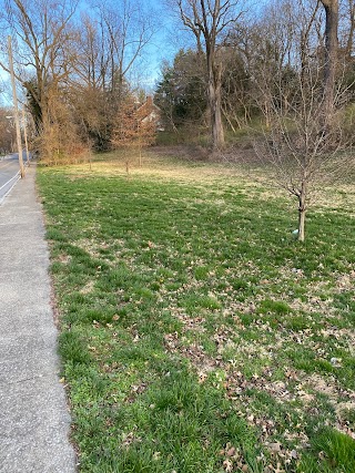 Castlewood Open Space