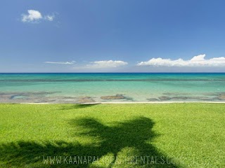 Maui Vacation Rentals by Vacasa