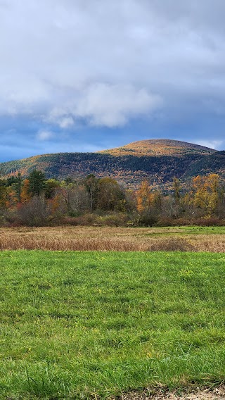 Hubbard Brook Wildlife Management Area