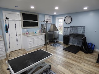 Birch Point Dog Spa