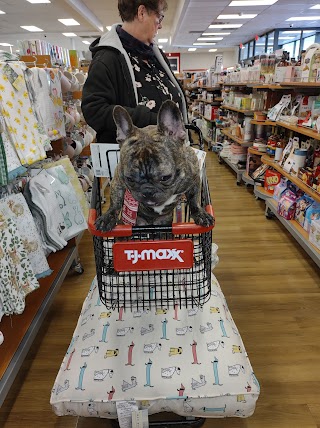 T.J. Maxx